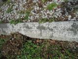 image of grave number 633908